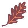 🍂