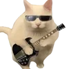🎸