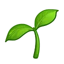 🌱