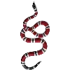 🐍