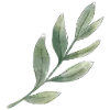 🌿