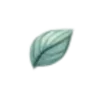🍃