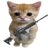 🐈