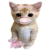 🐈
