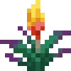 🌷