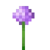 🌷