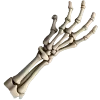 🏥