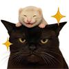 🐭