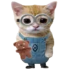 🐈