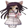 🐈