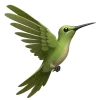🦚