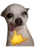 🤟