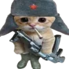 🐈