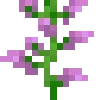 🌷