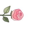 🌷