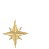 🌟