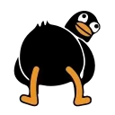 👀