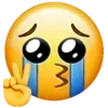 ✌️