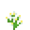 🌷