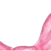 🎀