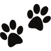 🐈‍⬛