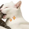 😸