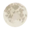 🌓