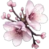 🌸