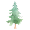 🌲