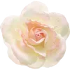 🌸
