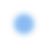 🔹