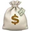 💰