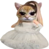 🐈
