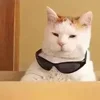 😊