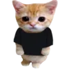 🐈