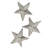 🌟