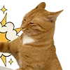 🤛