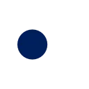 🔹