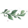🌿