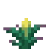 🌷