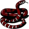 🐍