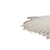 🪽