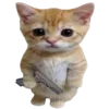 🐈