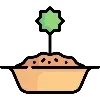 🍚