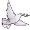 🕊