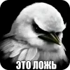 🐦