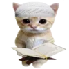 🐈