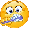 🪥