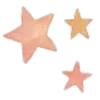 🌟