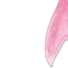 🎀